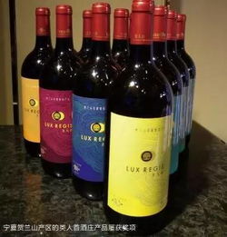 筑底·塑魂 国产葡萄酒的规模效益与中国塔基的锻造之路